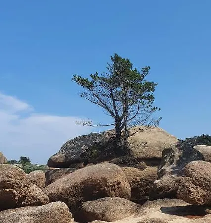 Appartement Avec Terrasse Proche Plages Et Sentiers De Randonnee Perros-Guirec Exterior photo