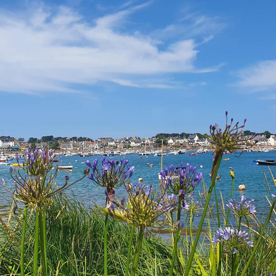 Avec Terrasse Proche Plages Et Sentiers De Randonnee Apartment