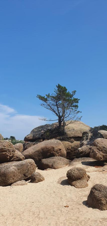 Avec Terrasse Proche Plages Et Sentiers De Randonnee Apartment